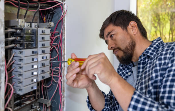 Best Electric Panel Repair  in Muhlenberg Rk, PA